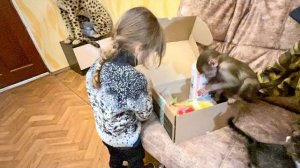 УРА! Ангелине и Люсе ПРИЕХАЛИ ПОДАРОЧКИ и они их смешно делят по справедливости)))