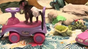 Доброе утро! Самое хорошее настроение у Николь бывает с утра❤️