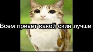 Какой скин лучше