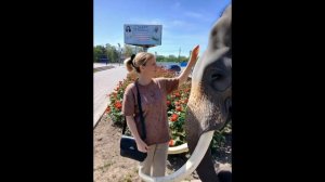 ВОТ ТАК И ЖИВЕМ