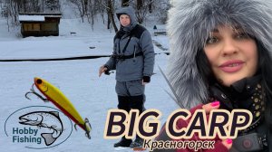 Рыбалка на форель. Платный водоем. Big Carp