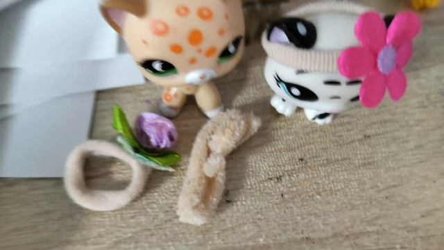 еду в Тулу поиск lps видео снято 2 дняlps LANA