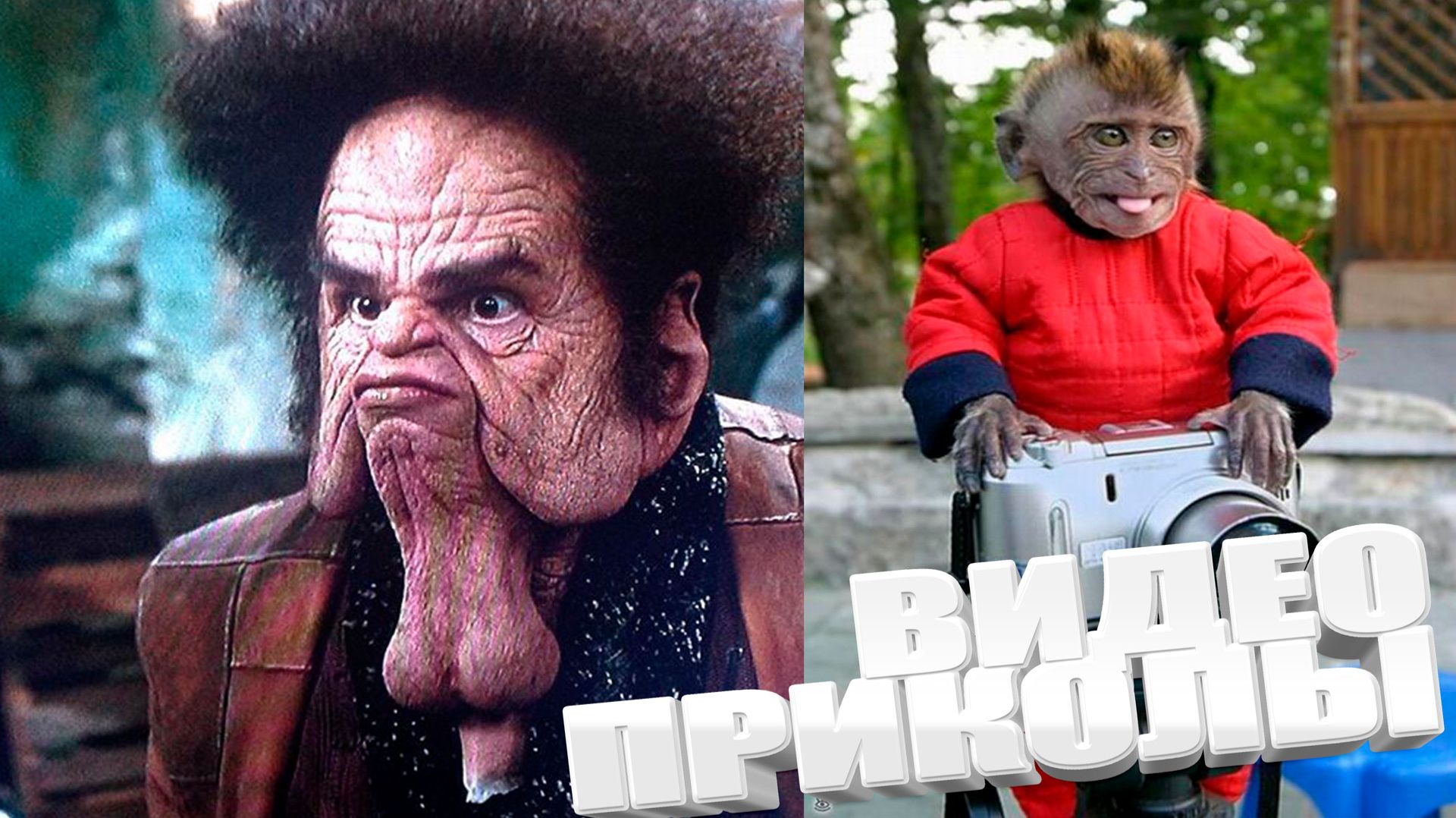 ЛУЧШИЕ ПРИКОЛЫ 2025 | ПРИКОЛЫ 2025 | СВЕЖИЕ ПРИКОЛЫ 2025 | РЖУ НЕ МОГУ | смотреть онлайн