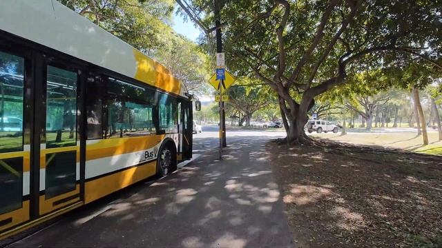 Гавайи Вайкики живая прогулка между курортами и пляжами 🌺 смотреть онлайн