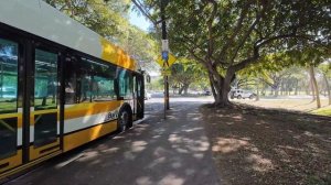 Гавайи Вайкики живая прогулка между курортами и пляжами 🌺