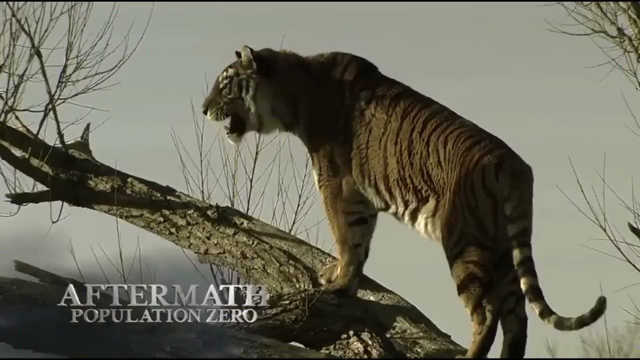 Земля Без Людей смотреть онлайн