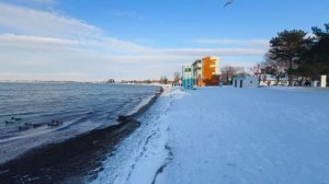 Пальмы. Море. СУГРОБЫ. Зима -10 в Анапе 2026
