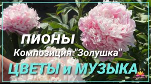 Цветы и Музыка!