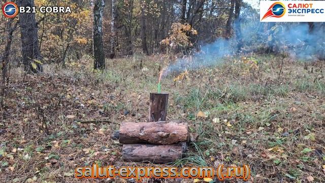 Петарды фитильные КОБРА B21 - ТМ Волк - 5гр. состава, в пачке 20 шт смотреть онлайн