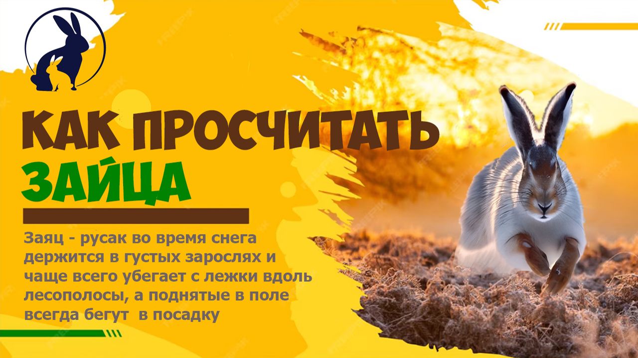 КАК ПРОСЧИТАТЬ ЗАЙЦА-РУСАКА. Охота сезона 2025-2026 смотреть онлайн