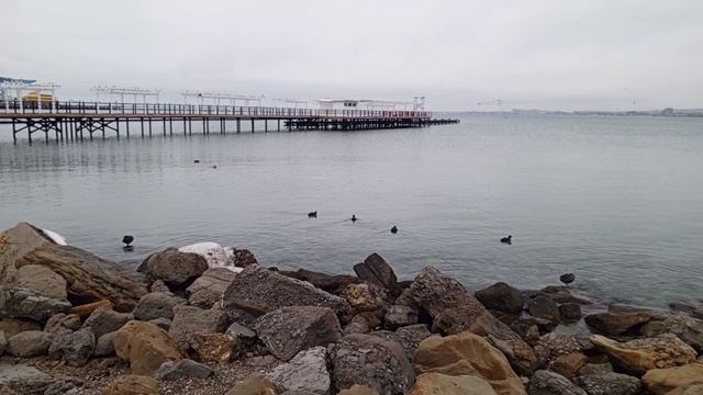 Анапа 24.01.2026 смотреть онлайн