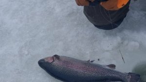 сёмкина 2 в комаровке