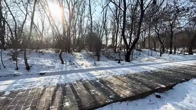 Одесса-куив_ Скорый литерный в никуда 24 01 26. смотреть онлайн