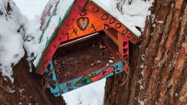 Очистка кормушек для птиц зимой смотреть онлайн