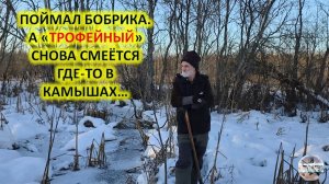 Поймал бобрика. А «трофейный» снова смеётся где-то в камышах…