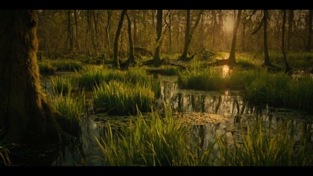 Наставления Амвросия Оптинского смотреть онлайн