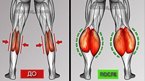 🔥Лучшие Упражнения Для Икр - Которые Заставят Ваши Икры Расти