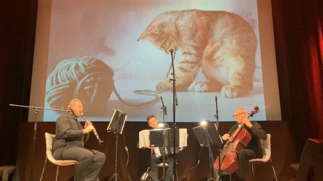 Трио «Ощущения» Trio Sensations Р.Гальяно R.Galliano Домашний кот A House Cat смотреть онлайн