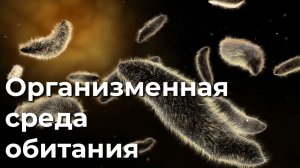 Организменная среда обитания. 5 класс.