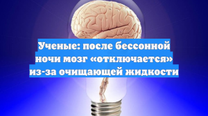 Ученые: после бессонной ночи мозг «отключается» из-за очищающей жидкости