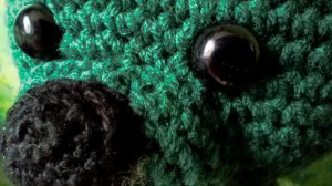 Эволюция Замиокулькас