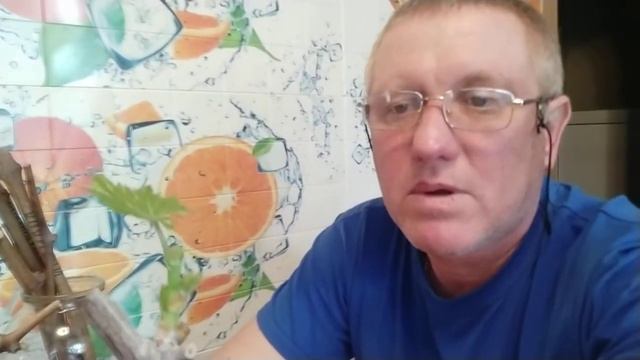 Виноград. Нюансы, при укоренении черенков. смотреть онлайн