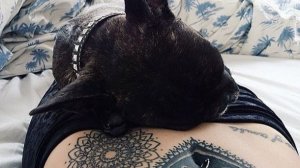 ЭТО БЕЗУМИЕ! Угарная подборка приколов НЕ ПЕЙТЕ ВОДУ ПЕРЕД ПРОСМОТРОМ!Ржака!Лол!Топ Смех Видео №6024