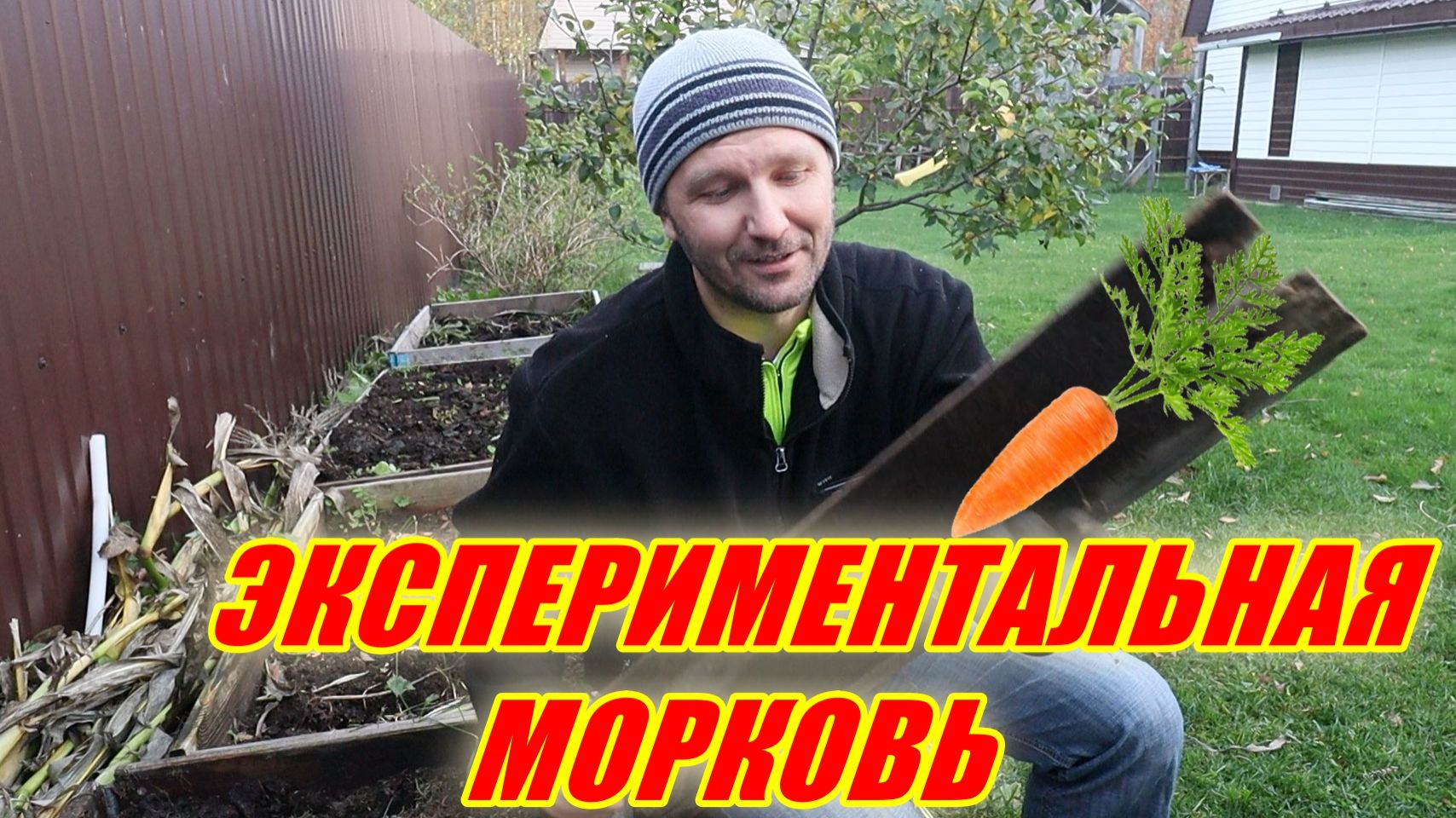 Как посадить морковь? Есть секреты!