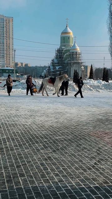 День студента в Липецком Политехе 2026 смотреть онлайн