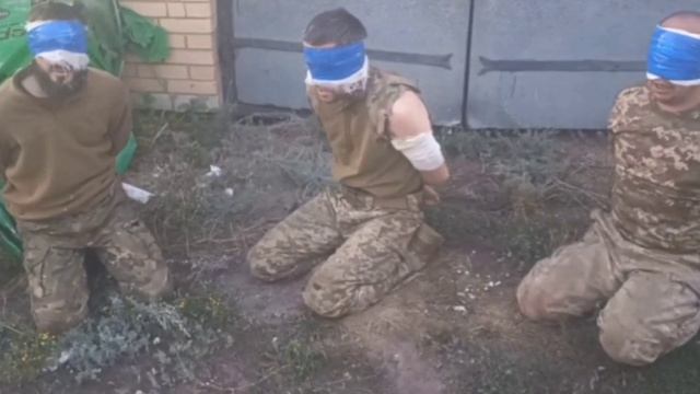 Хрюшки благодарят🤭 смотреть онлайн