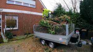 Я ОШИБАЛСЯ, думая, что удалить плющ будет ЛЕГКО