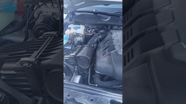 1000077167.mp4 смотреть онлайн