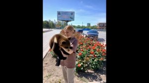 Прибежал бедный Голодный наверно