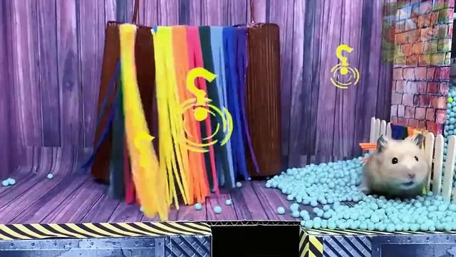 Маленький хомячок принимает вызов доктора Кота! Ужасающая лавовая пещера! смотреть онлайн