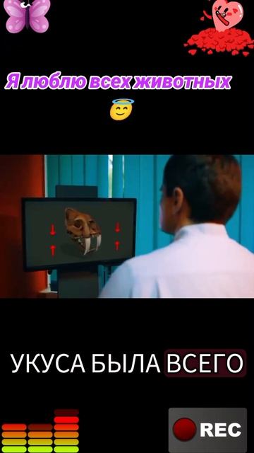 Я люблю всех животных😇 смотреть онлайн
