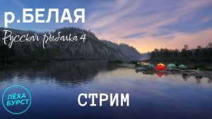 РУССКАЯ РЫБАЛКА 4 / СТРИМ 14 / РЕКА БЕЛАЯ - Лёха БУРСТ и Рыбачок
