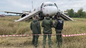 СК: вины "Уральских авиалиний" в посадке самолета в поле не выявлено