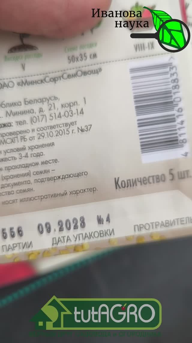 Все семена взойдут! Эта растильня для семян - просто чудо! Как сделать растильню своими руками. смотреть онлайн