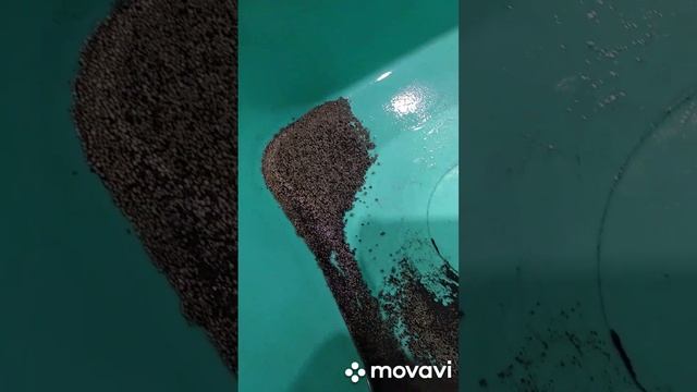 красим джинсы углем в черный цвет смотреть онлайн