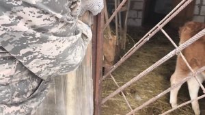 С нами по Хозяйству. Пополнили запасы.