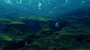 Исландия - Самый большой вулканический остров