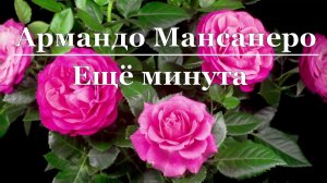 Армандо Мансанеро - Ещё минута