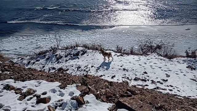 Кабы не было зимы смотреть онлайн