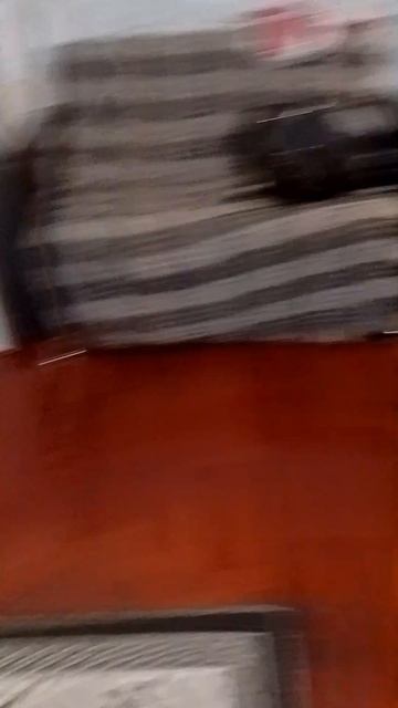 . смотреть онлайн