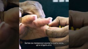 Краткий пересказ фильма