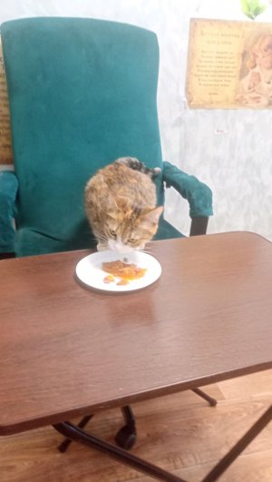 будет круто