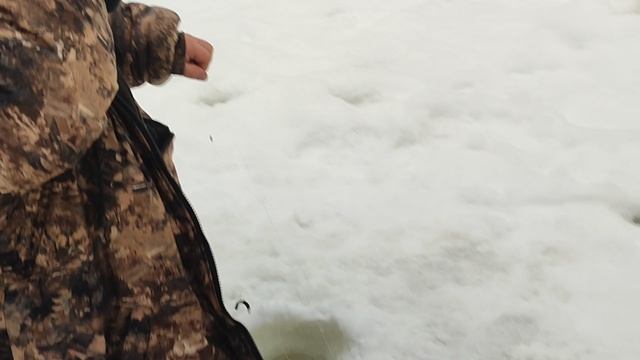 Форель на пасту. Основной водоём. смотреть онлайн