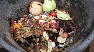 Зимний эксперемент ферметирования органики под давлением