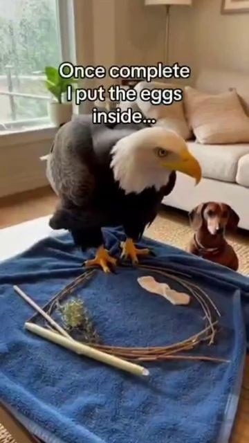 доброта спасает мир 🌏 смотреть онлайн