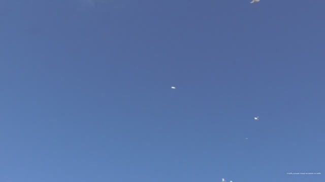 В гостях у Игоря Рязань гон молодых ленинаканских, турецких, бакинских голубей часть2 смотреть онлайн